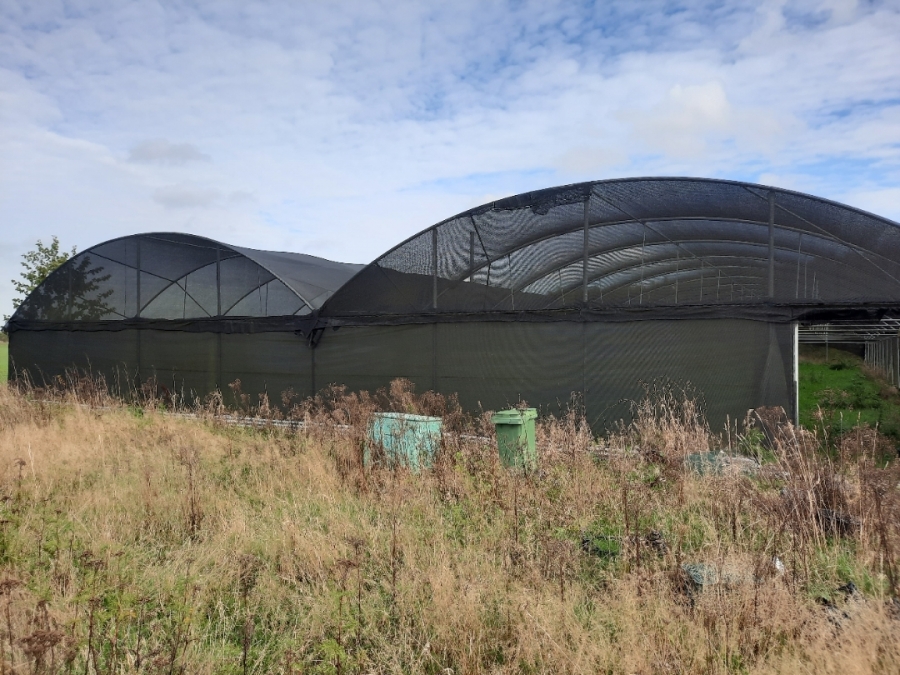 Poly tunnel / nethal 20 x 48 meter