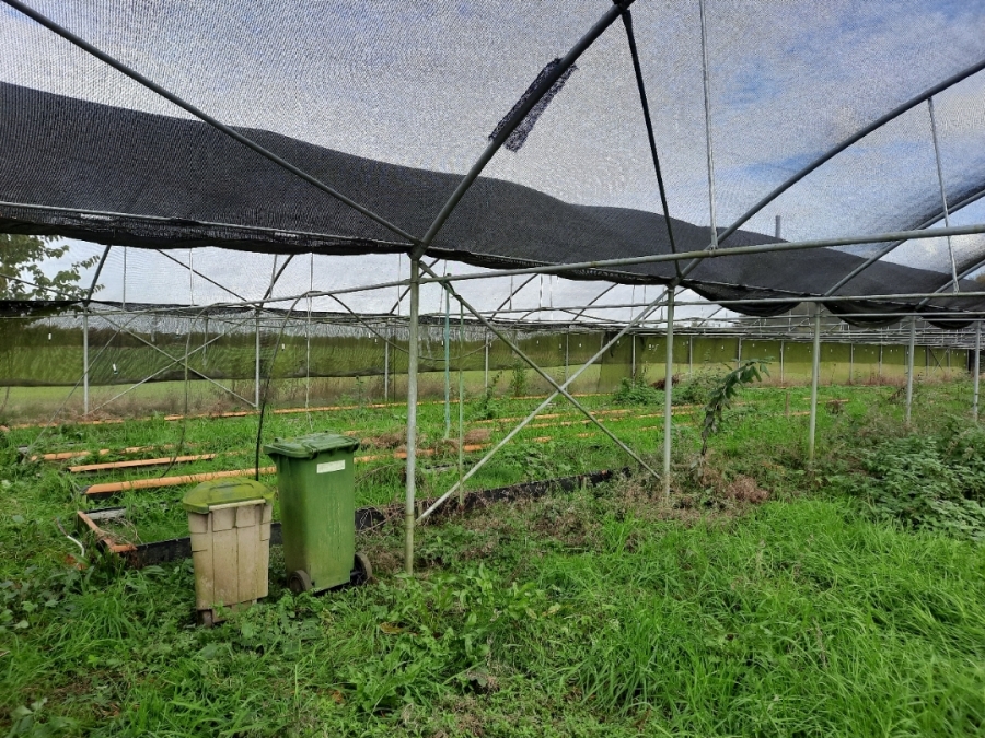 Poly tunnel / nethal 20 x 48 meter
