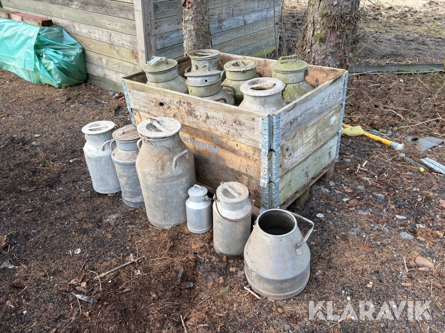 Mælkejunger 12 styk samlet lot