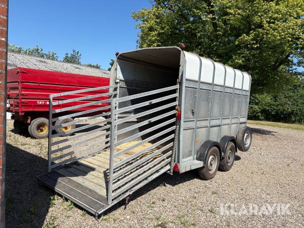 Dyretransport Ifor Williams TA510G-12 - 3500kg