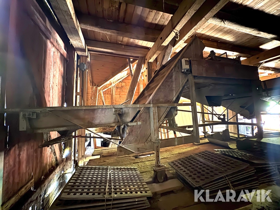 Sorteringsanlæg til løg Langco DR6B7