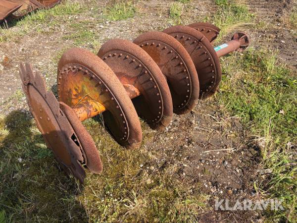 Rabathøvl snegl