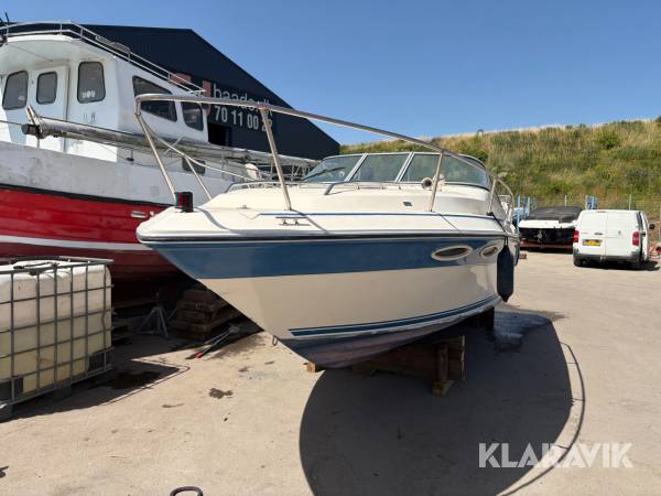 Motorbåd Sea Ray 230 CC