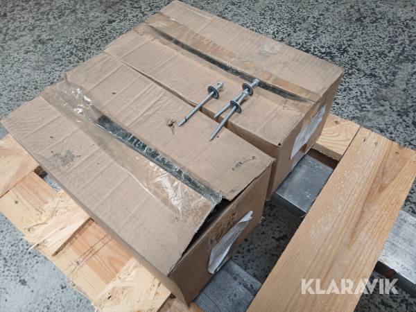 Tagskruer galv. 100 mm med påmont. skive