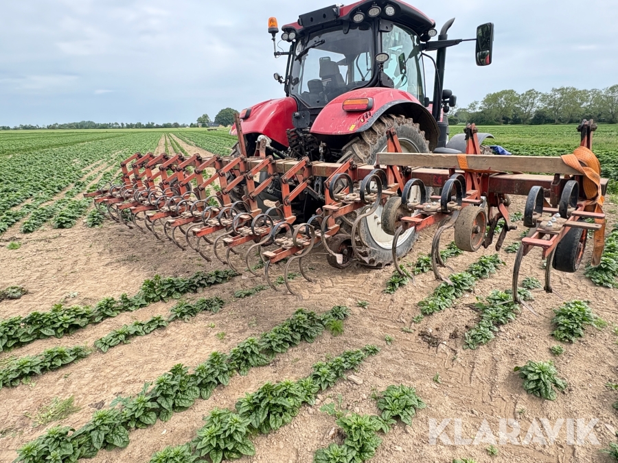 Radrenser Kongskilde