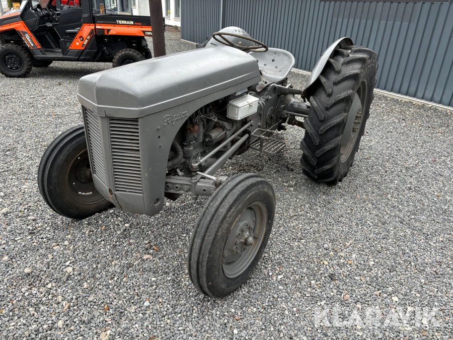 Veteran Traktor Ferguson MF 31